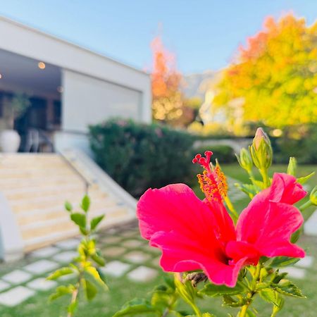 Residence Vive La Vie Франшхоек Екстериор снимка